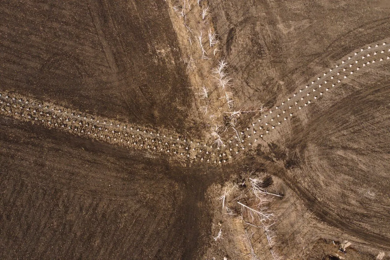 Diego Fedele / Getty Images