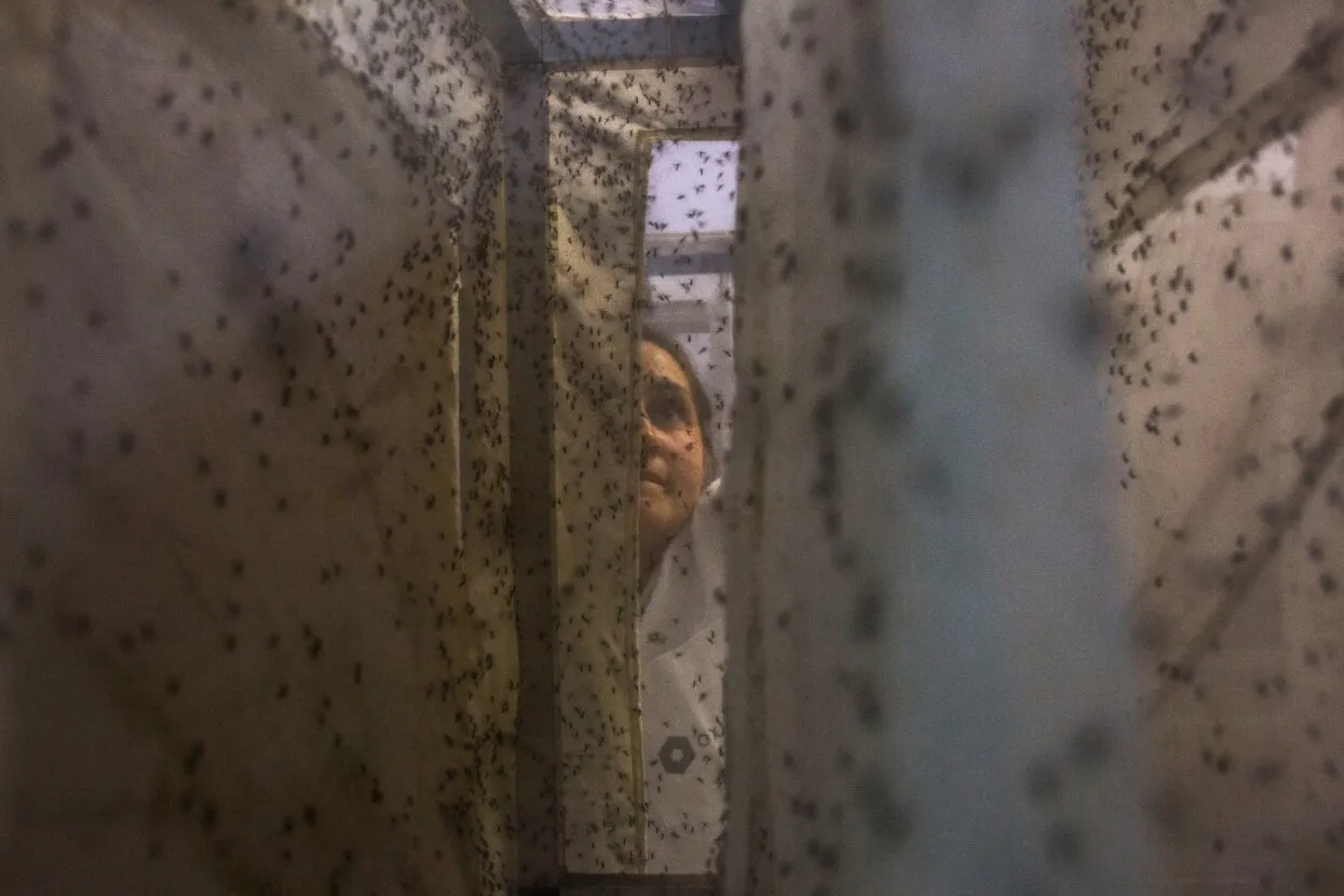 Victor Moriyama / Getty Images