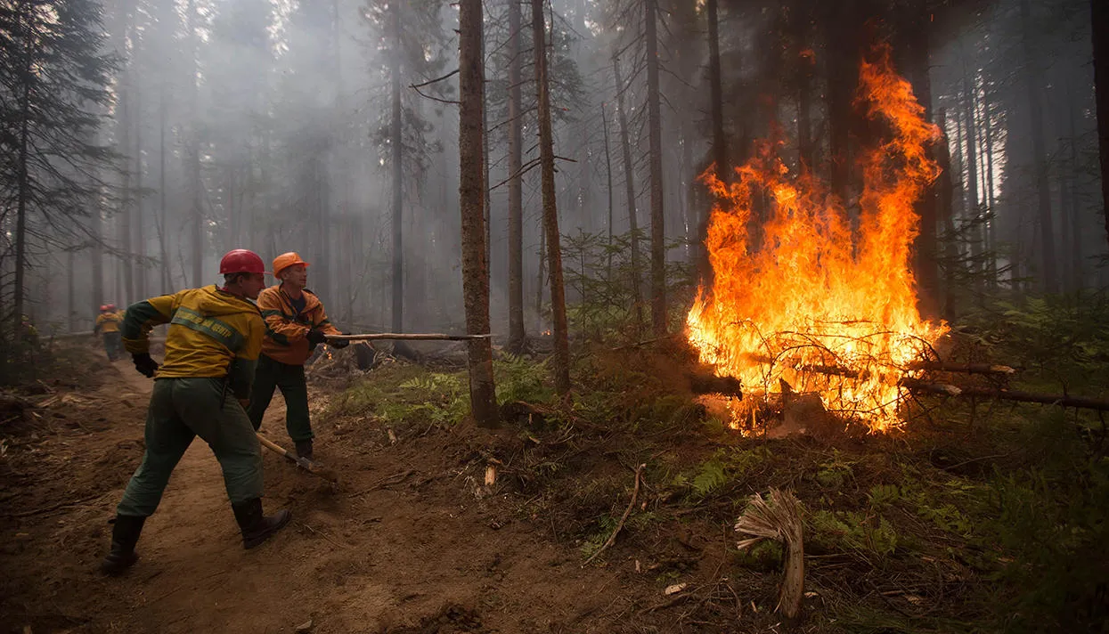 Фото: Анна Огородник / AP / Scanpix