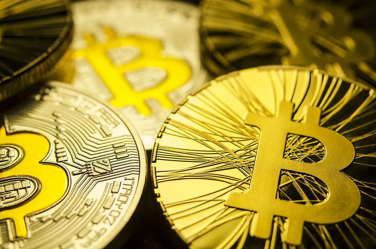 Martin Lukasek / Shutterstock