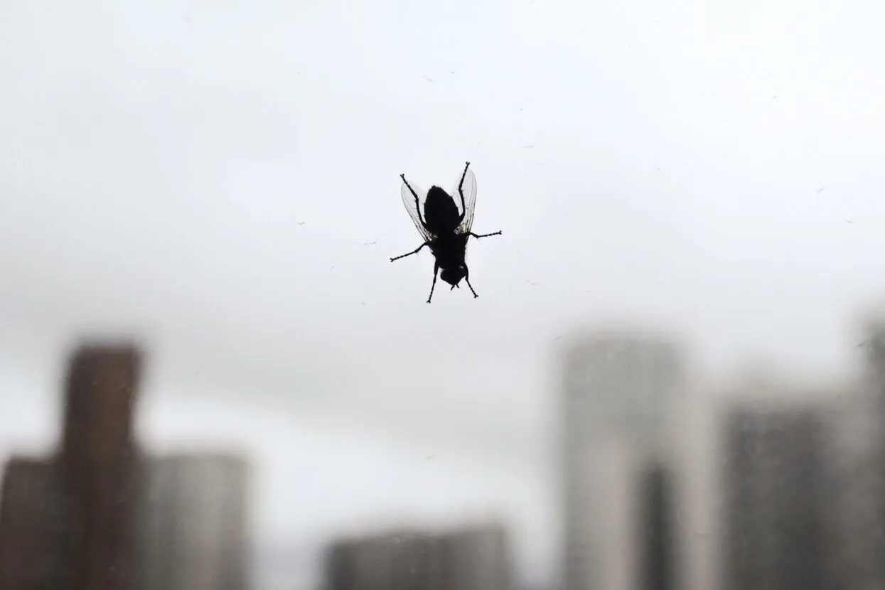 Katy_Mits / Shutterstock.com