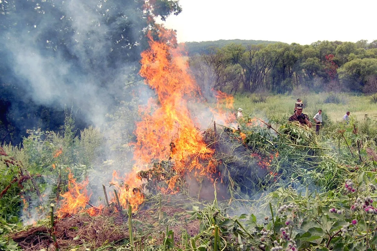 Владимир Саяпин / ТАСС