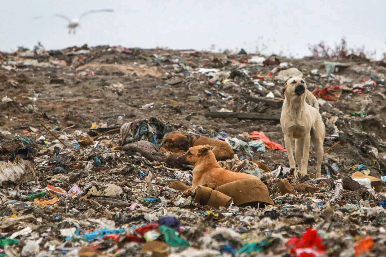 Сергей Коньков / ТАСС