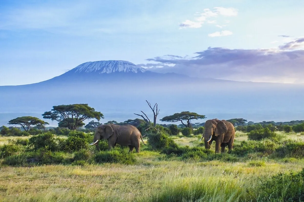 HordynskiPhotography / Shutterstock.com