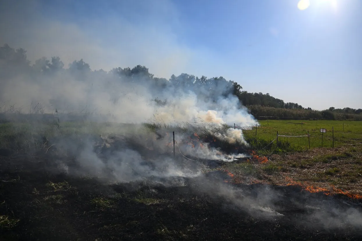Maksym Kishka / Reuters / Scanpix / LETA