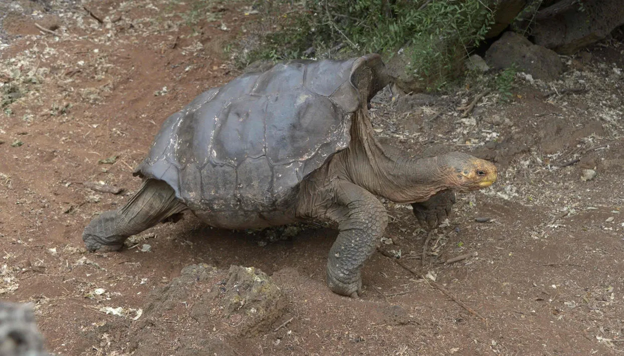 Фото: Rodrigo Buendia / AFP / Scanpix / LETA