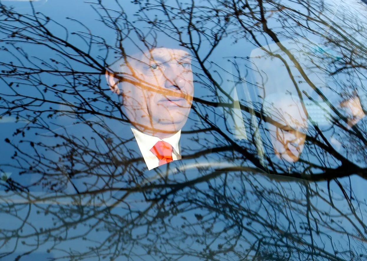  Laszlo Balogh / Getty Images