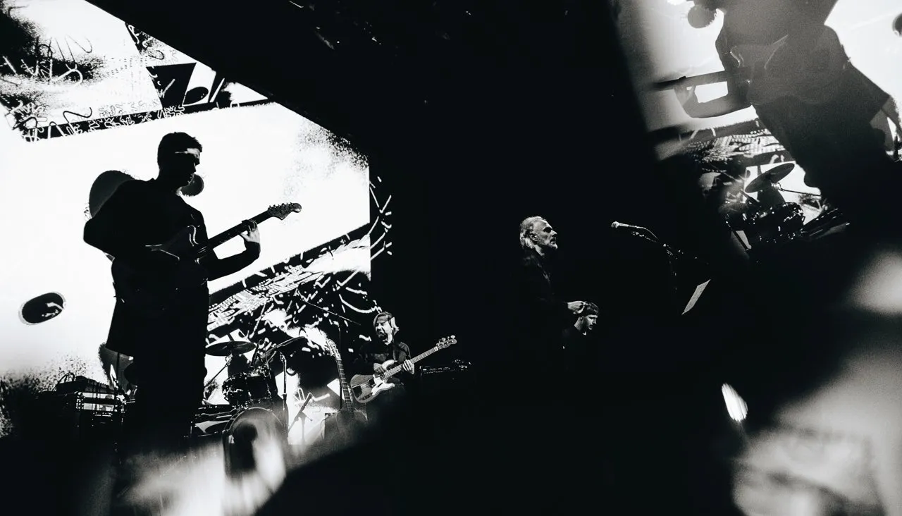 Евгения Анисимова / zerolines