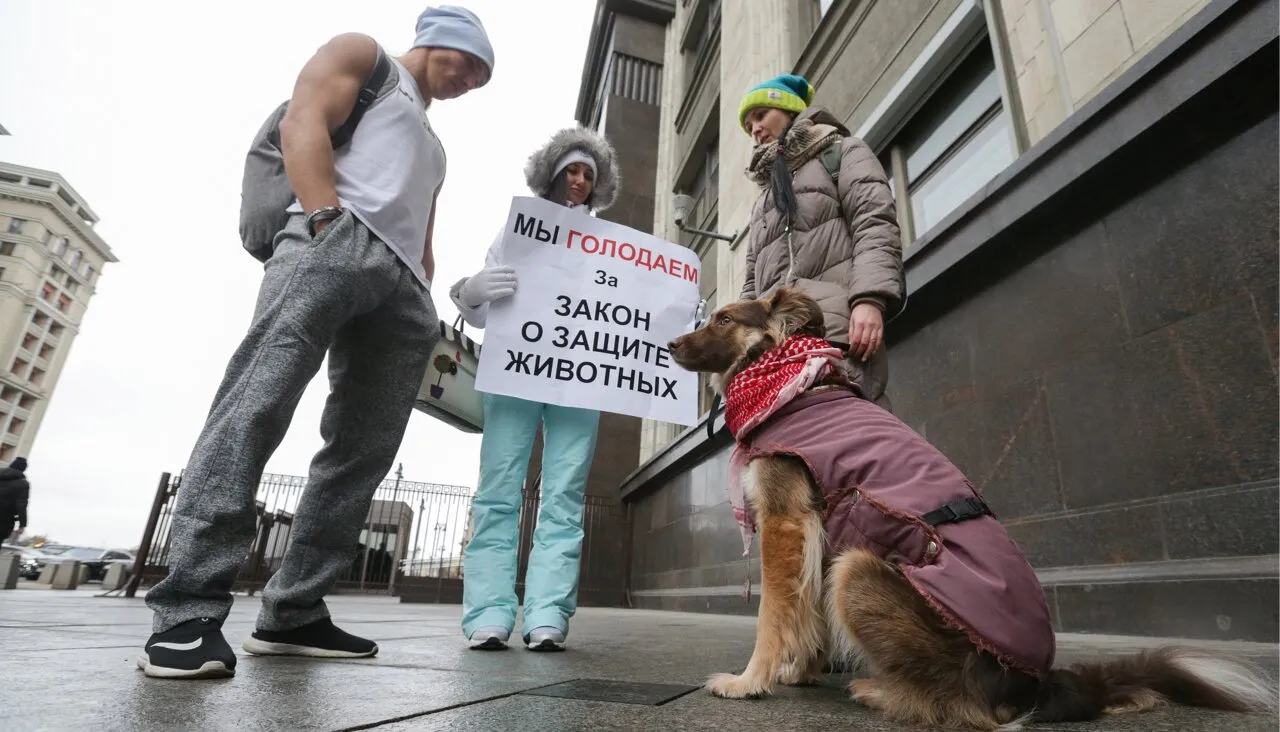 Марат Абулхатин / фотослужба Госдумы РФ / ТАСС / Vida Press