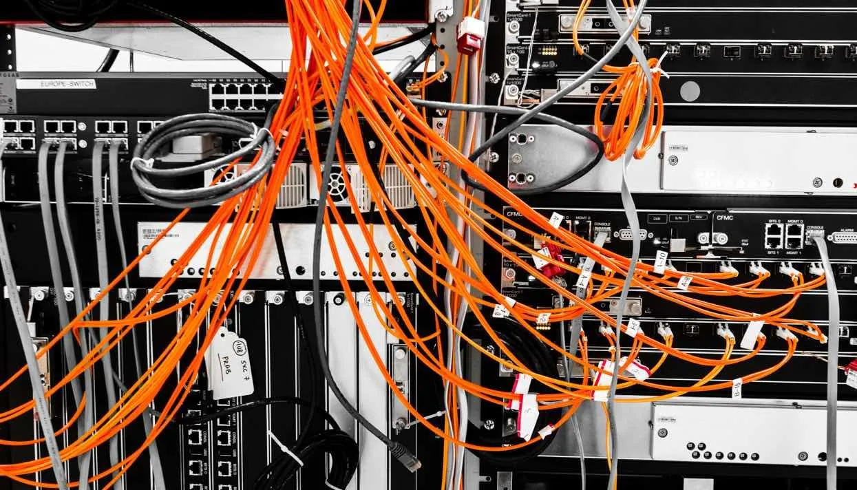 Фото: Ellen Isaacs / Alamy / Vida Press