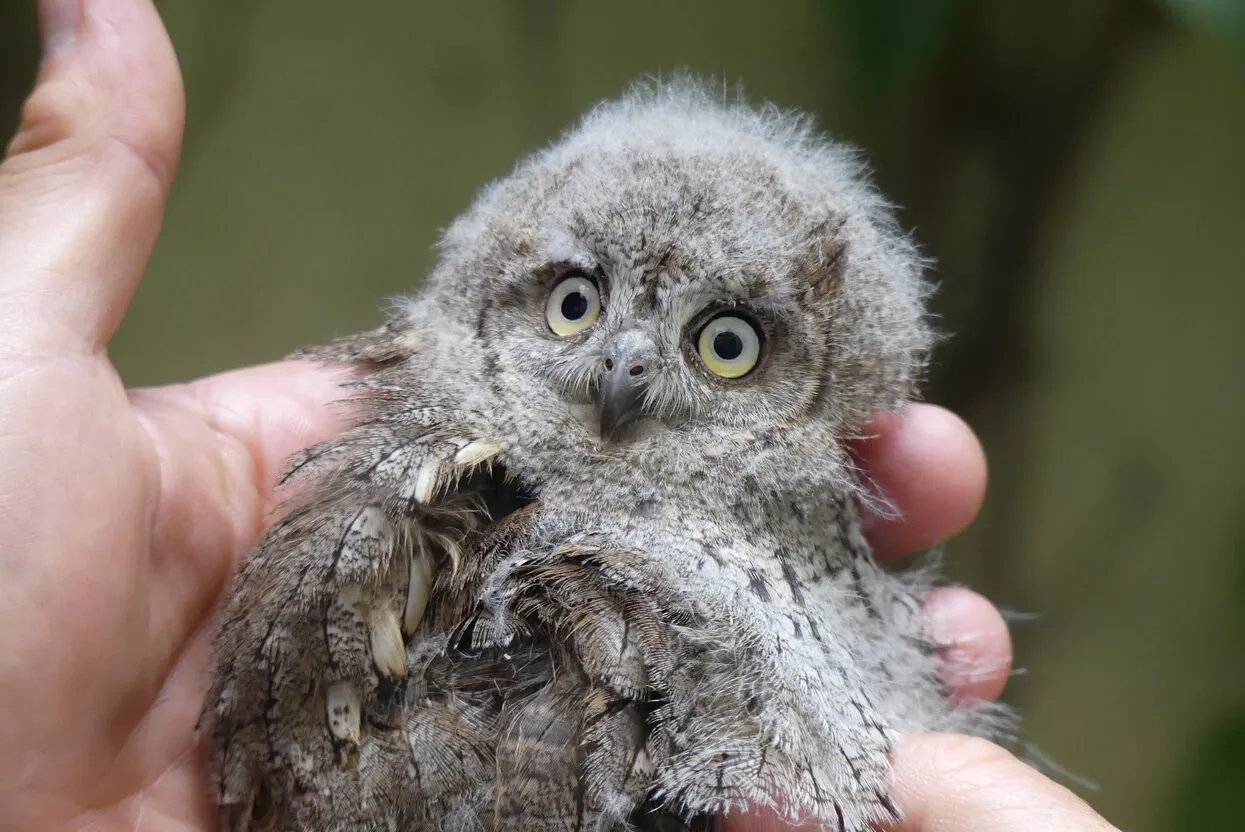 JavierMartinRuiz / Shutterstock.com