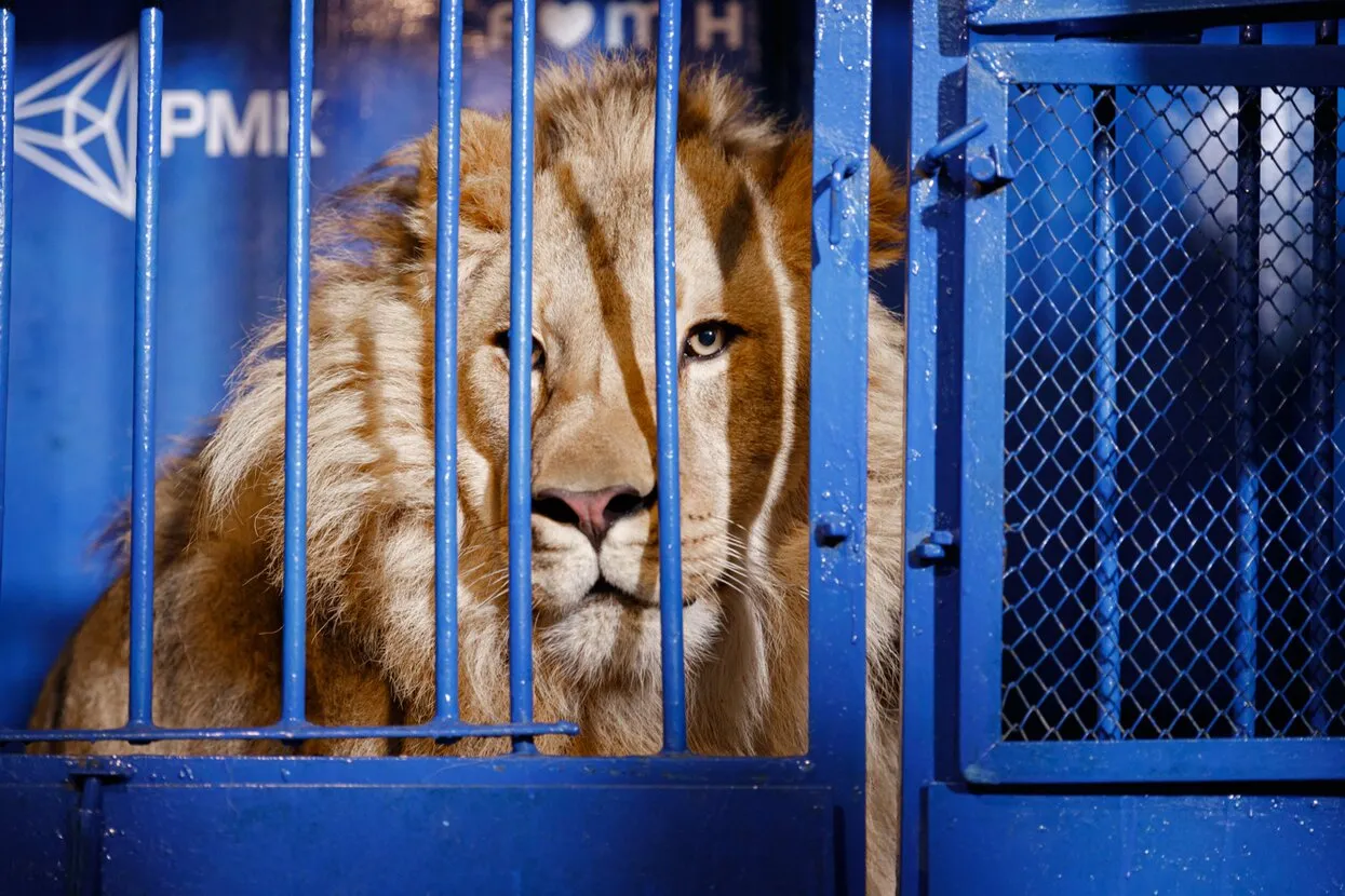 Пресс-служба РМК