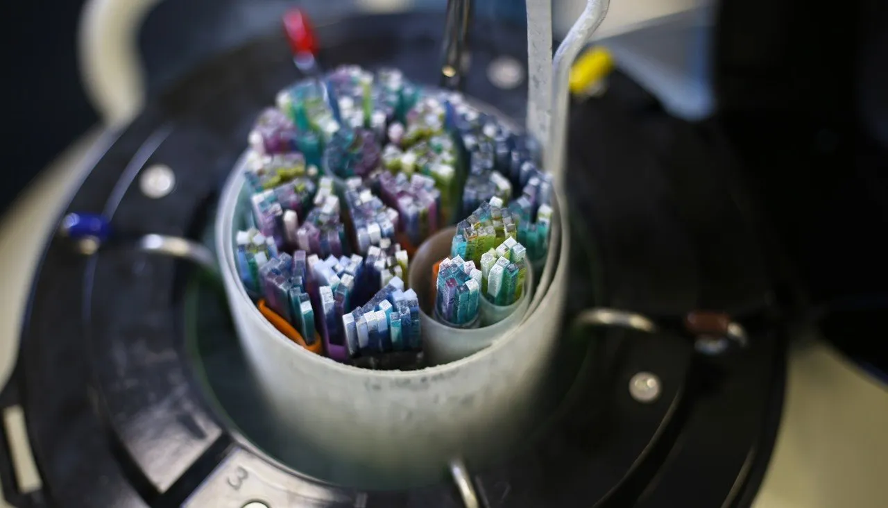 Ekaterina Georgievskaia / Shutterstock.com