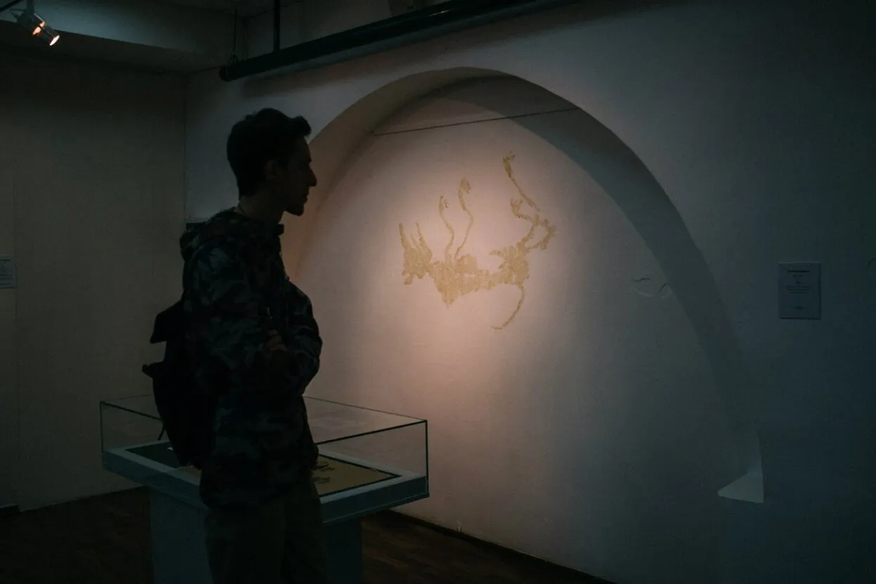 Архив института «База»