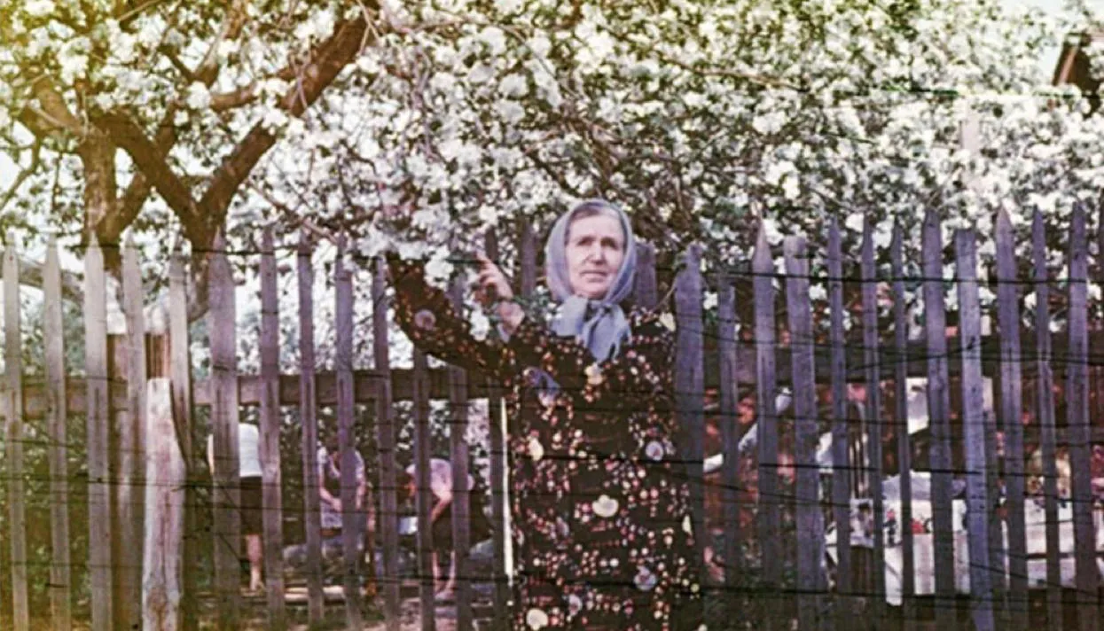 <a href="http://www.alionavanderhorst.com/" target="_blank">Aliona van der Horst</a>