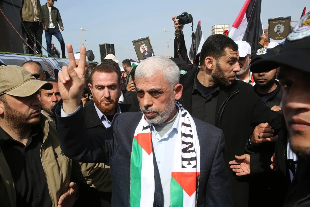 Ahmed Zakot / SOPA Images / LightRocket / Getty Images