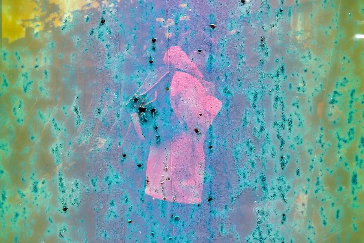 Annie Spratt / Unsplash