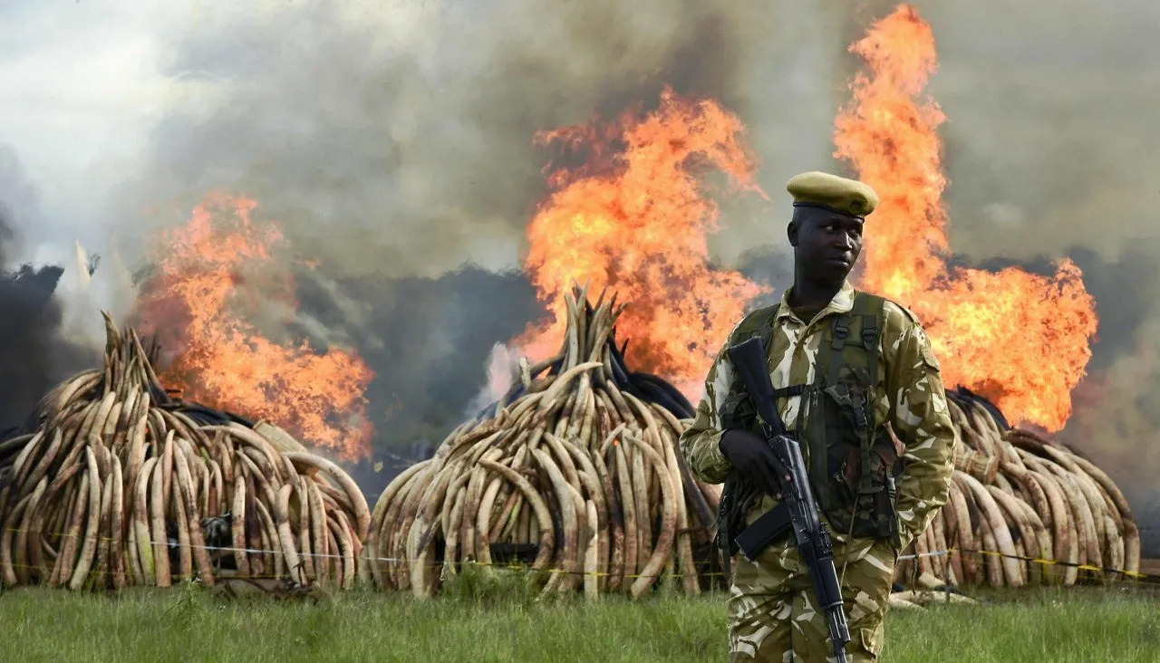 Carl De Souza / AFP / Scanpix / LETA