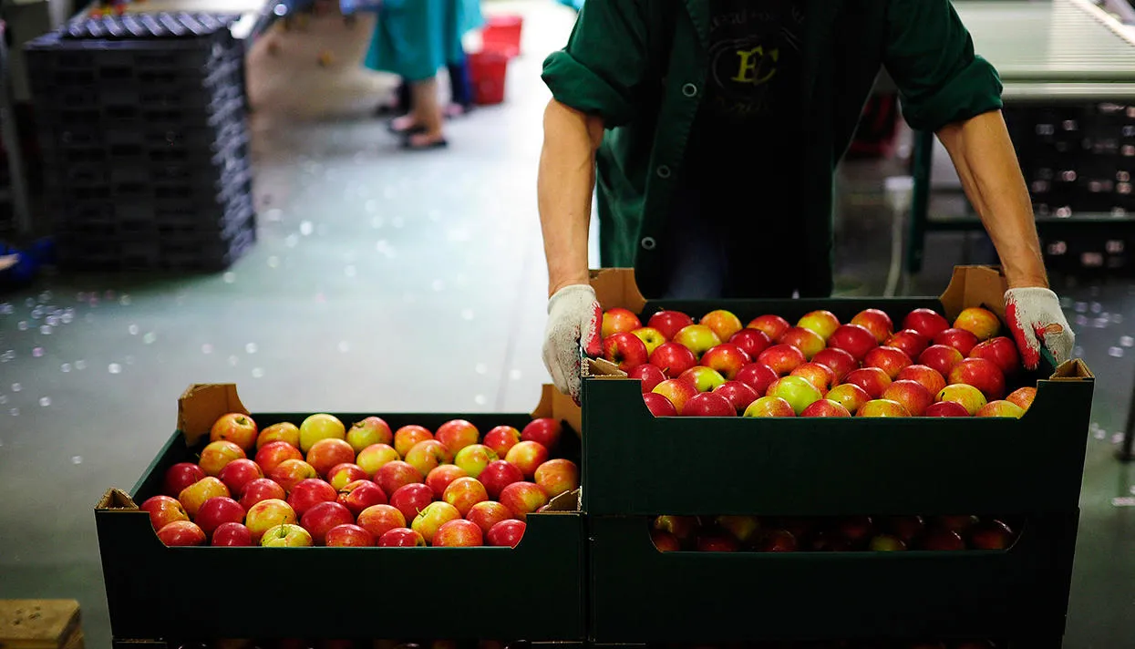 Фото: Reuters / Scanpix