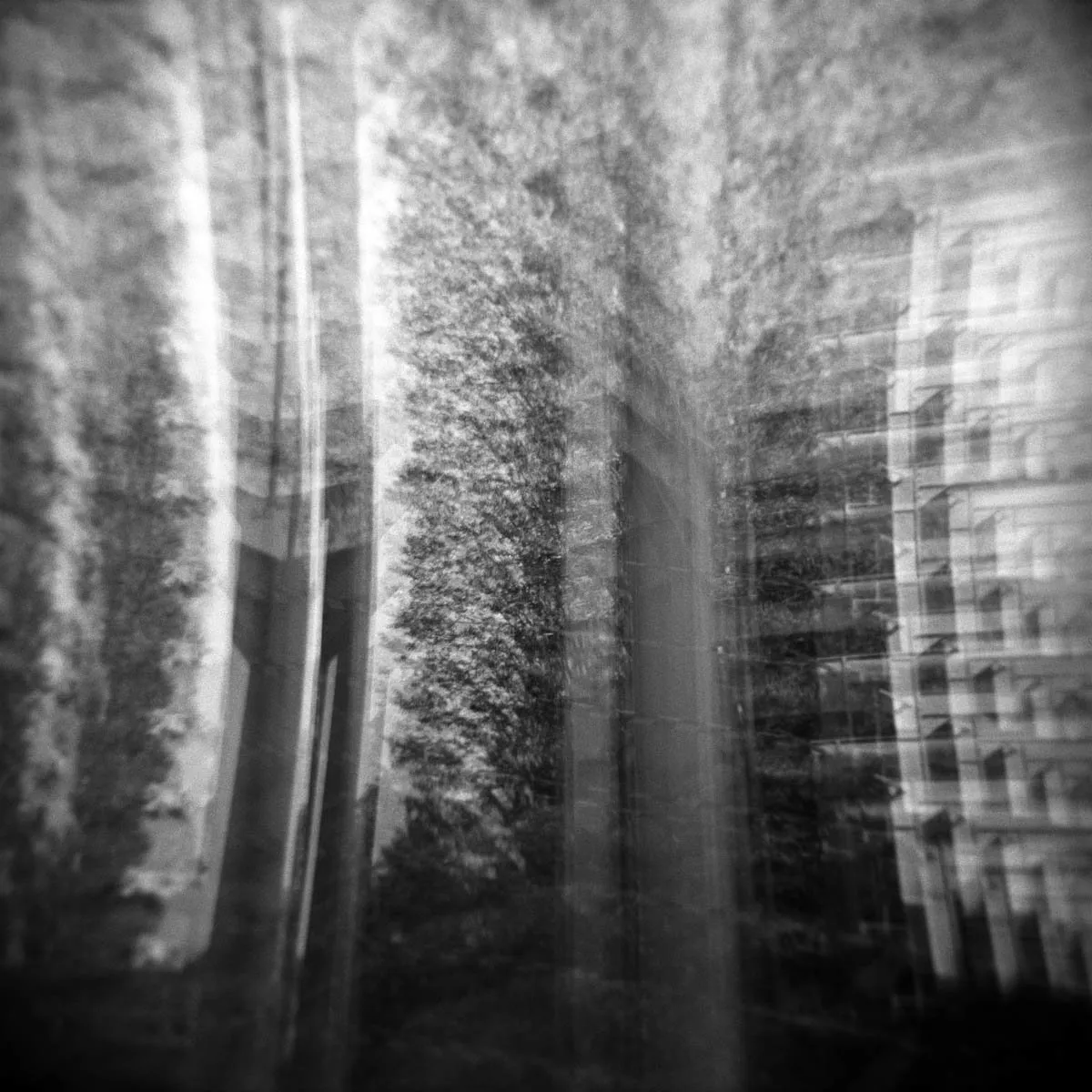 <a href="https://www.flickr.com/photos/20x25/" target="_blank">Christophe FROT</a> / Flickr (CC BY-NC-ND 2.0)