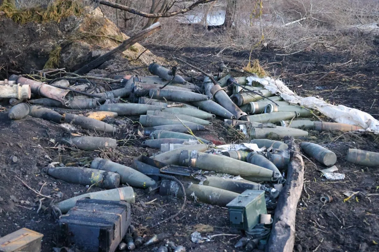 Владимир Гердо / ТАСС / Profimedia