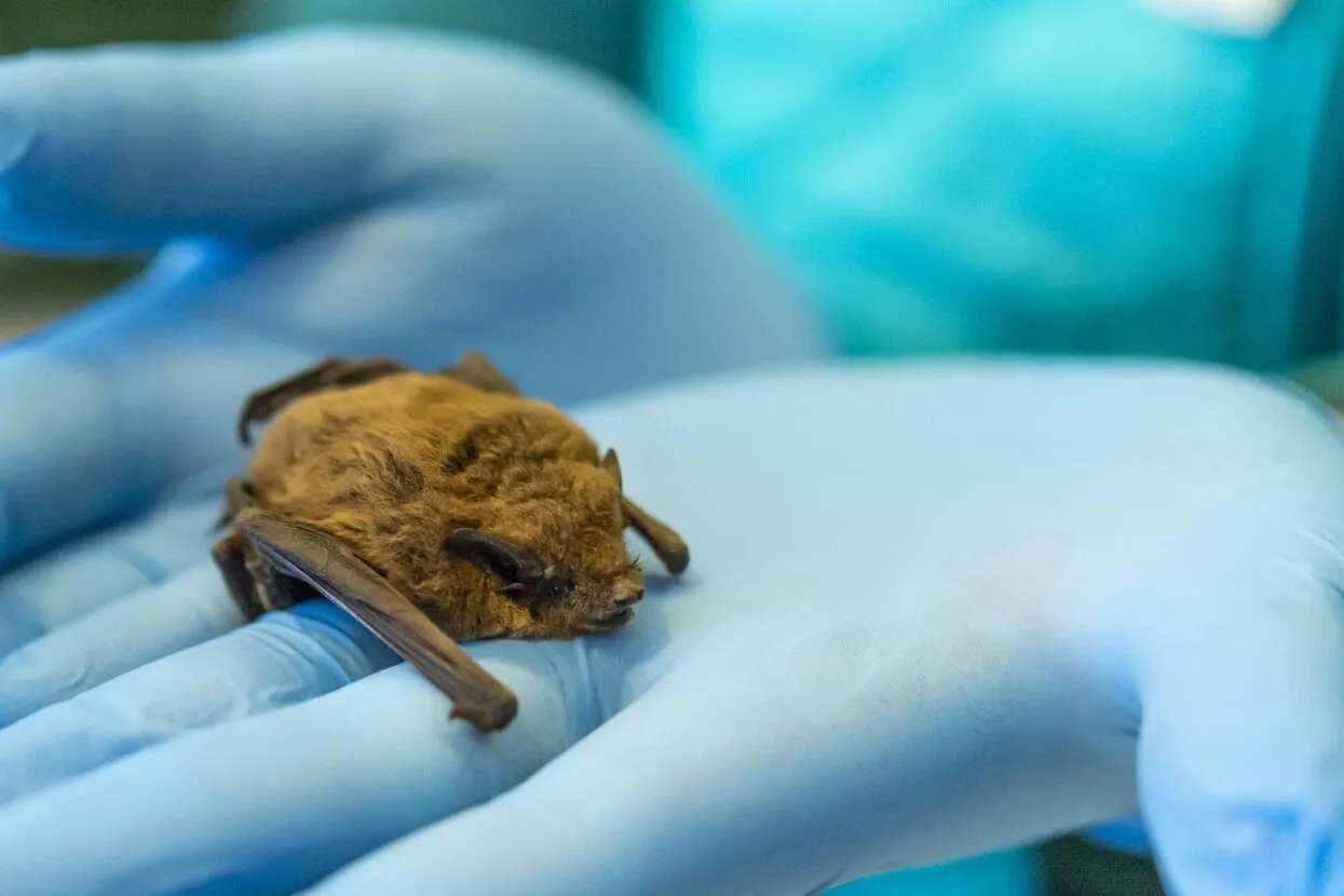 BlueRed / REDA / Universal Images Group / Getty Images